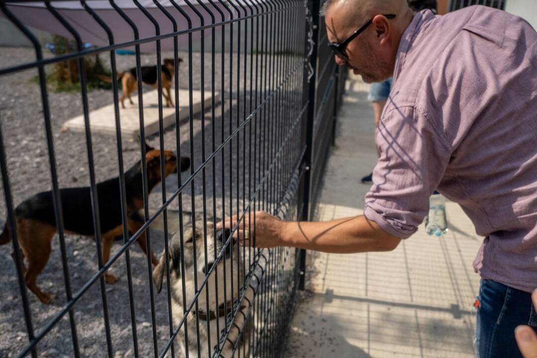 FOTO: V Topoľčanoch vybudovali novú karanténnu stanicu pre opustené zvieratá , foto 2