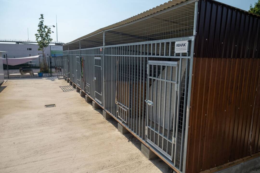 FOTO: V Topoľčanoch vybudovali novú karanténnu stanicu pre opustené zvieratá , foto 4