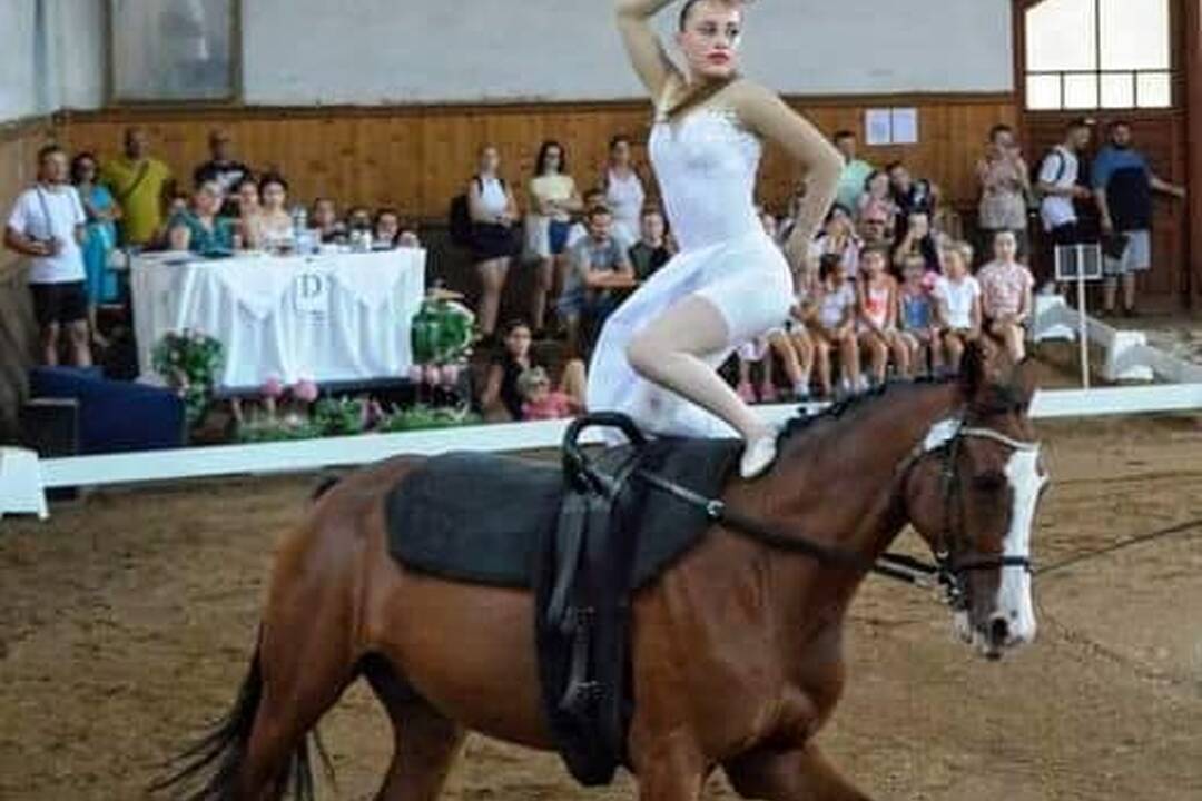 FOTO: Preteky Slovenského voltížneho pohára a Majstrovstvá Západoslovenskej oblasti SJF, foto 4