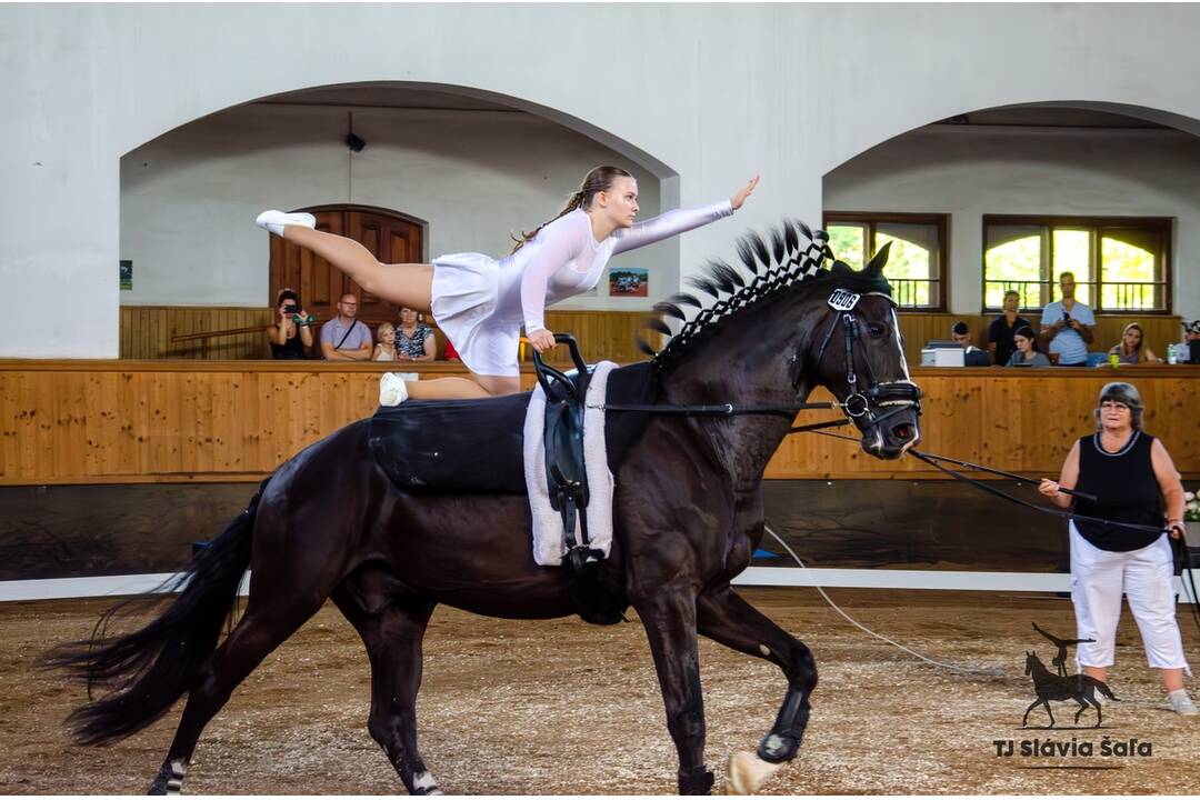 FOTO: Preteky Slovenského voltížneho pohára a Majstrovstvá Západoslovenskej oblasti SJF, foto 9
