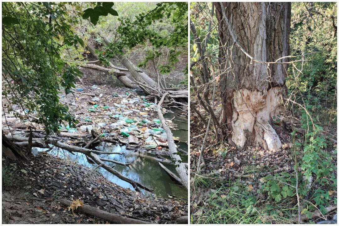 FOTO: Znečistené okolie Žitavy v meste Vráble , foto 1