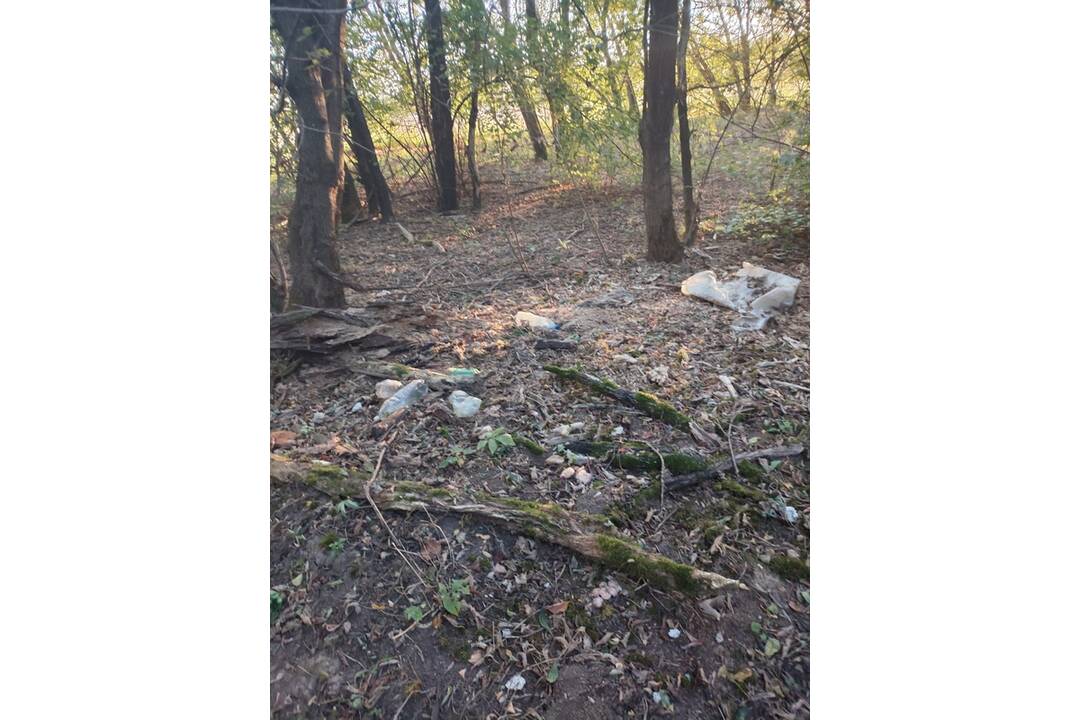 FOTO: Znečistené okolie Žitavy v meste Vráble , foto 3