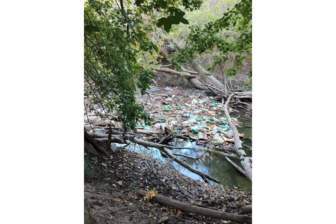 FOTO: Znečistené okolie Žitavy v meste Vráble , foto 5