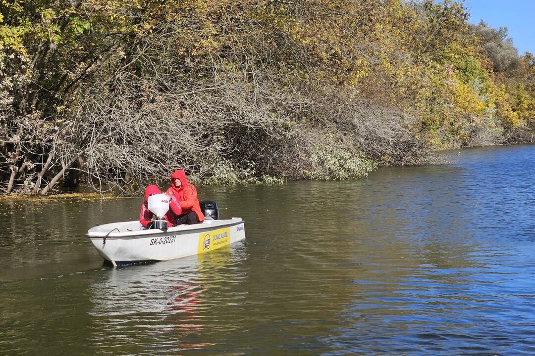 FOTO: Likvidácia komárov v Komárne, október 2024, foto 3