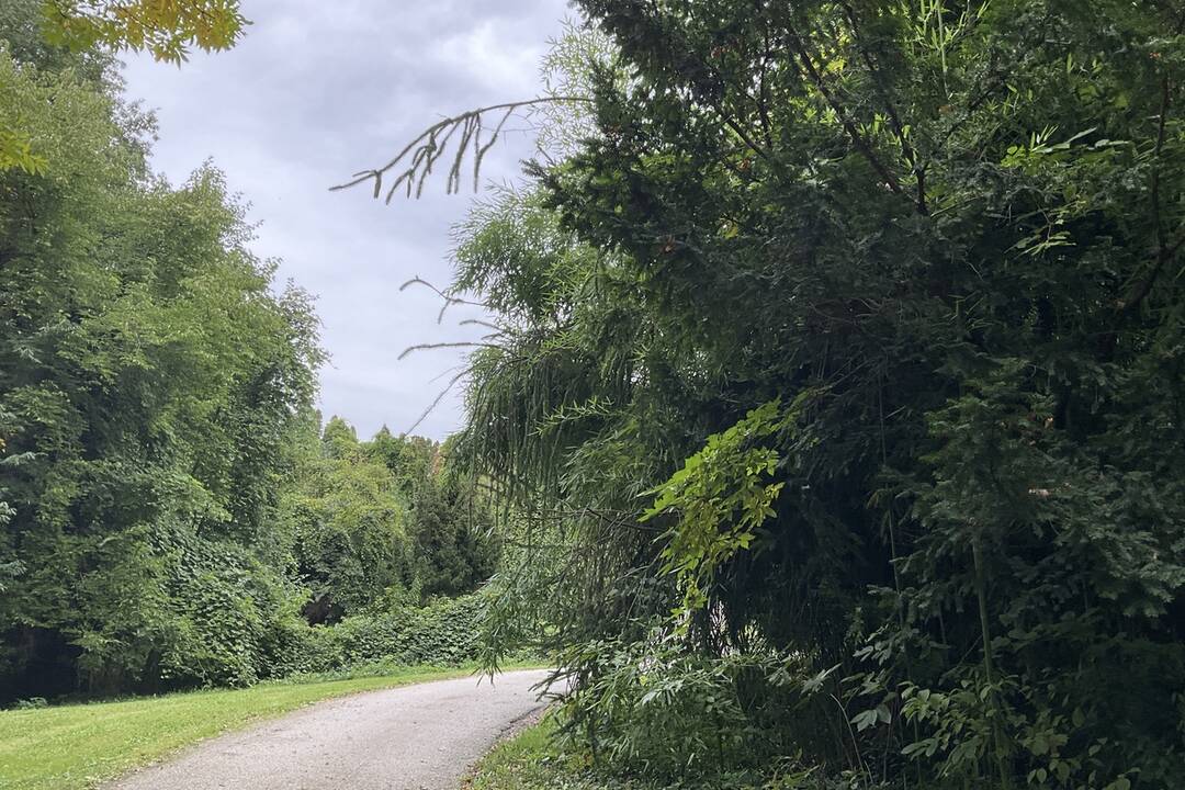 FOTO: Pozrite si jesenné zábery z arboréta v Tesárskych Mlyňanoch, foto 2