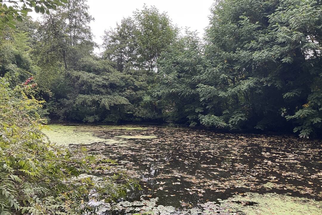 FOTO: Pozrite si jesenné zábery z arboréta v Tesárskych Mlyňanoch, foto 6