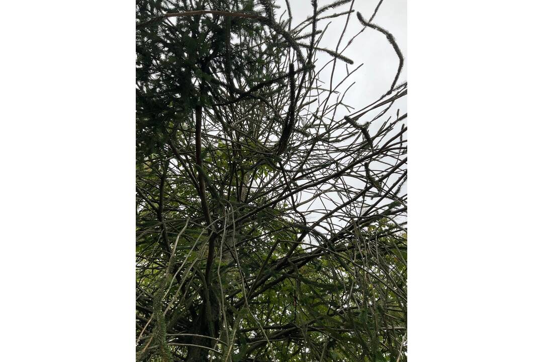 FOTO: Pozrite si jesenné zábery z arboréta v Tesárskych Mlyňanoch, foto 21