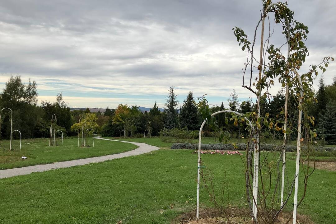 FOTO: Pozrite si jesenné zábery z arboréta v Tesárskych Mlyňanoch, foto 29