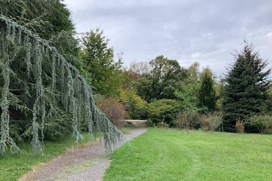 FOTO: Pozrite si jesenné zábery z arboréta v Tesárskych Mlyňanoch, foto 34