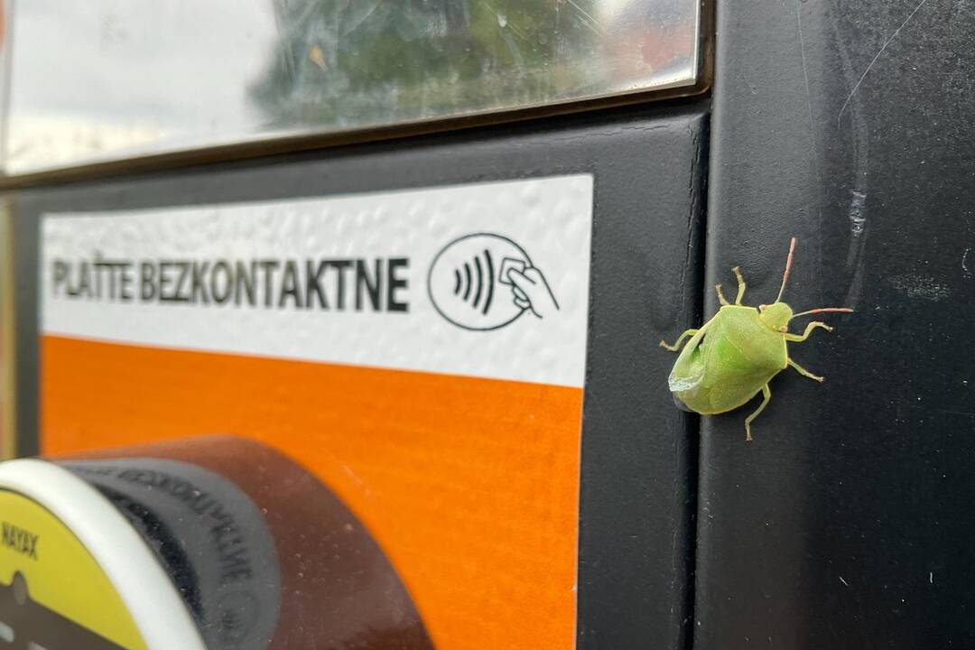 FOTO: Pozrite si jesenné zábery z arboréta v Tesárskych Mlyňanoch, foto 38