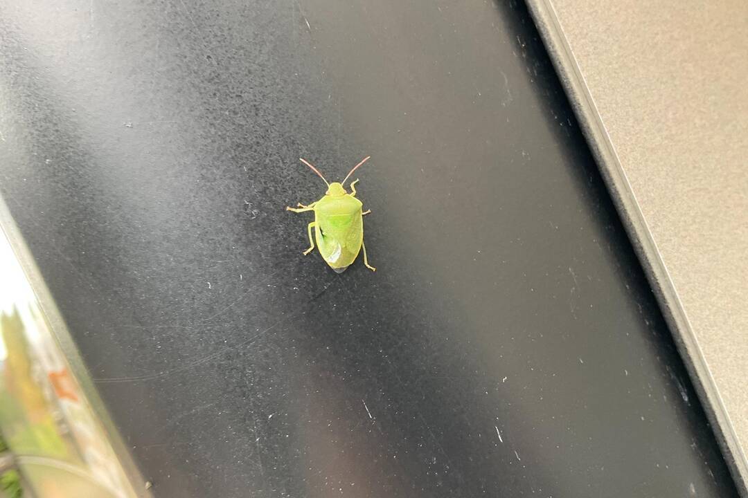 FOTO: Pozrite si jesenné zábery z arboréta v Tesárskych Mlyňanoch, foto 39