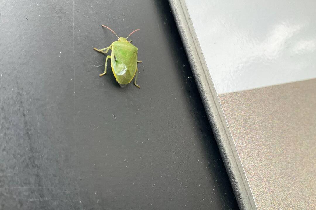 FOTO: Pozrite si jesenné zábery z arboréta v Tesárskych Mlyňanoch, foto 40