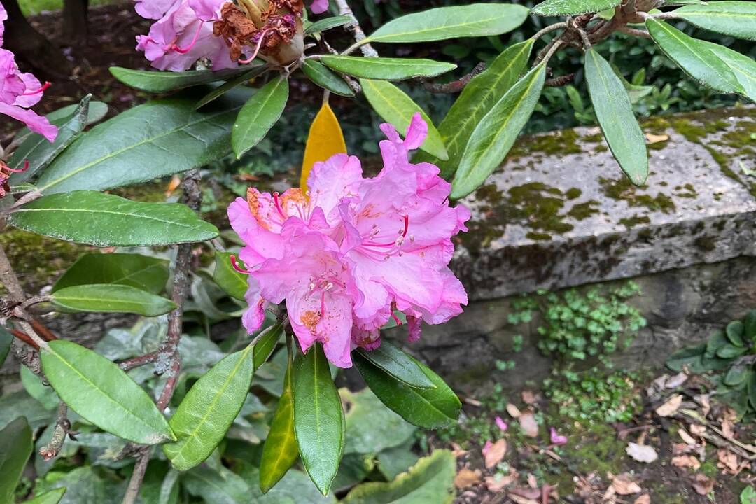 FOTO: Pozrite si jesenné zábery z arboréta v Tesárskych Mlyňanoch, foto 42