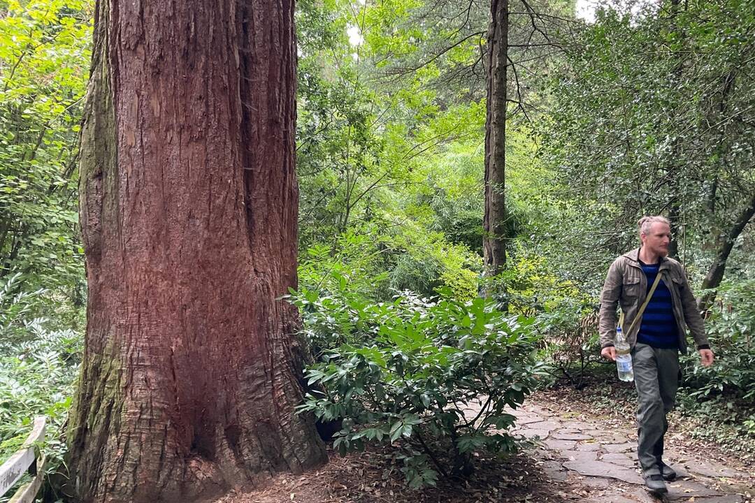 FOTO: Pozrite si jesenné zábery z arboréta v Tesárskych Mlyňanoch, foto 49