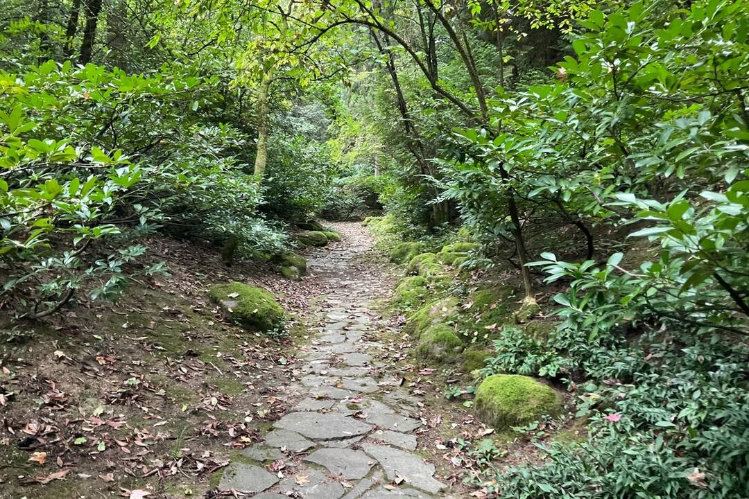 FOTO: Pozrite si jesenné zábery z arboréta v Tesárskych Mlyňanoch, foto 54