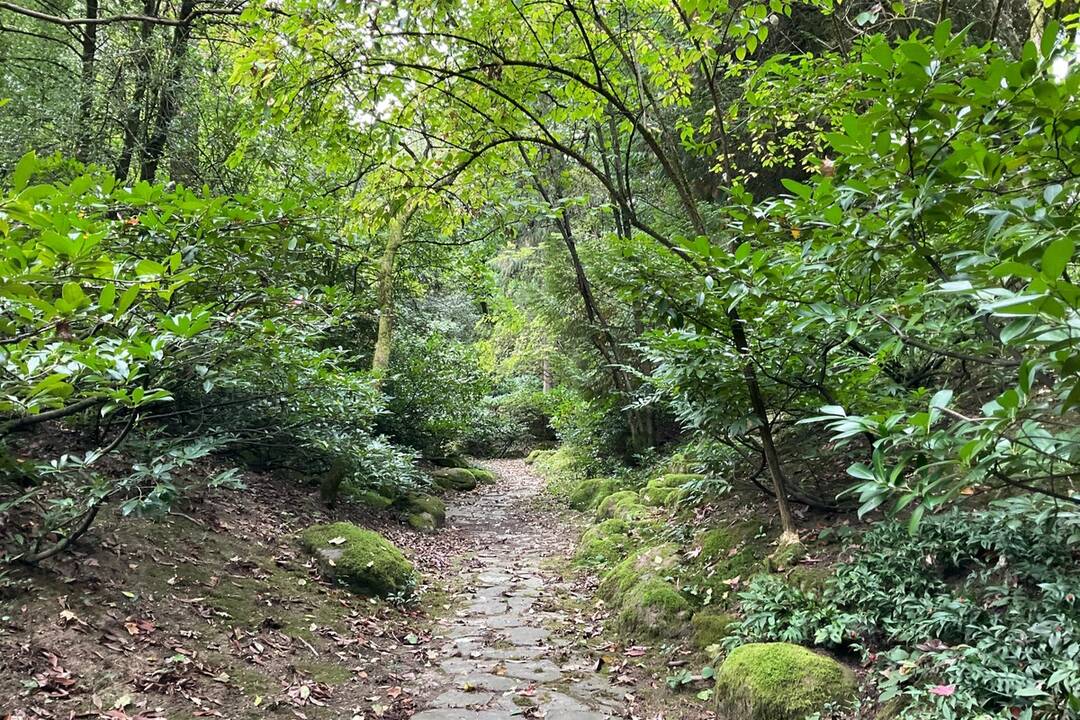 FOTO: Pozrite si jesenné zábery z arboréta v Tesárskych Mlyňanoch, foto 55