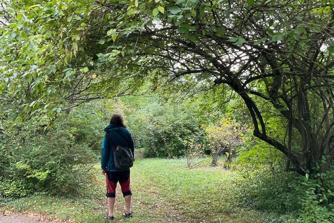 FOTO: Pozrite si jesenné zábery z arboréta v Tesárskych Mlyňanoch, foto 65