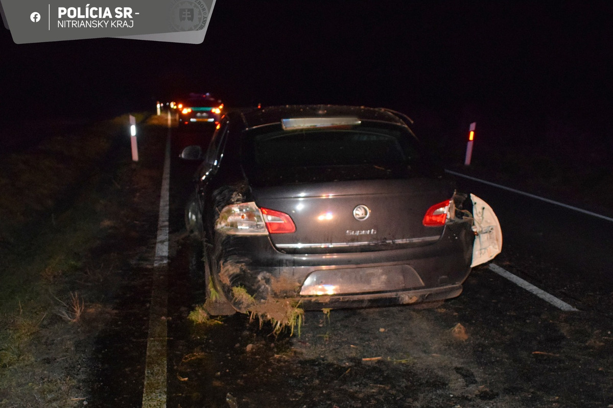 FOTO: Opitý vodič pri Leviciach nabúral do svahu, foto 2