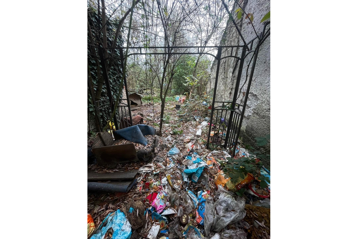 FOTO: Majiteľka držala svojich psov v hrozných podmienkach. Po rokoch jej ich konečne odobrali, foto 4