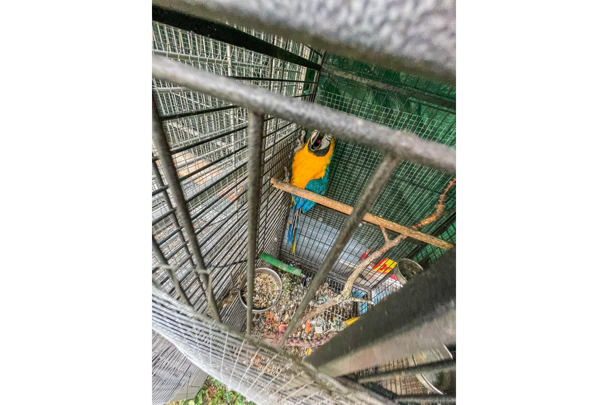 FOTO: Majiteľka držala svojich psov v hrozných podmienkach. Po rokoch jej ich konečne odobrali, foto 5