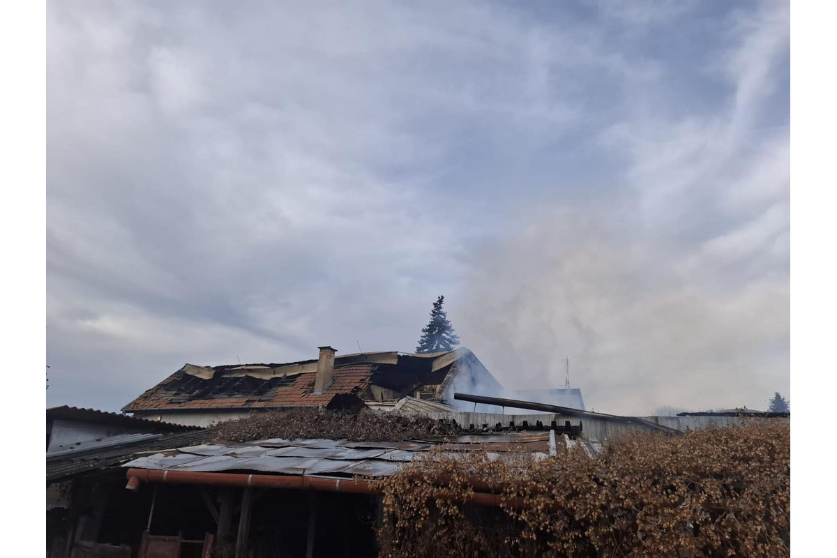 FOTO: Požiar výrobnej haly v Kolárove, foto 7