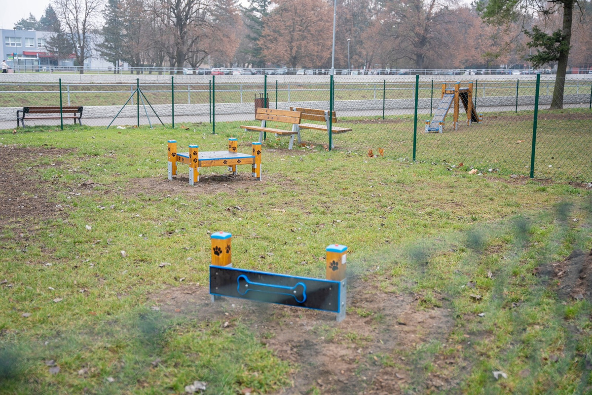 FOTO: V Nitre postavili nový výbeh pre psov. Je plný moderných prekážok a hracích prvkov, foto 5