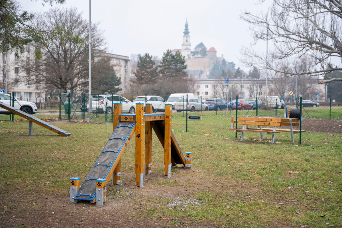 FOTO: V Nitre postavili nový výbeh pre psov. Je plný moderných prekážok a hracích prvkov, foto 8