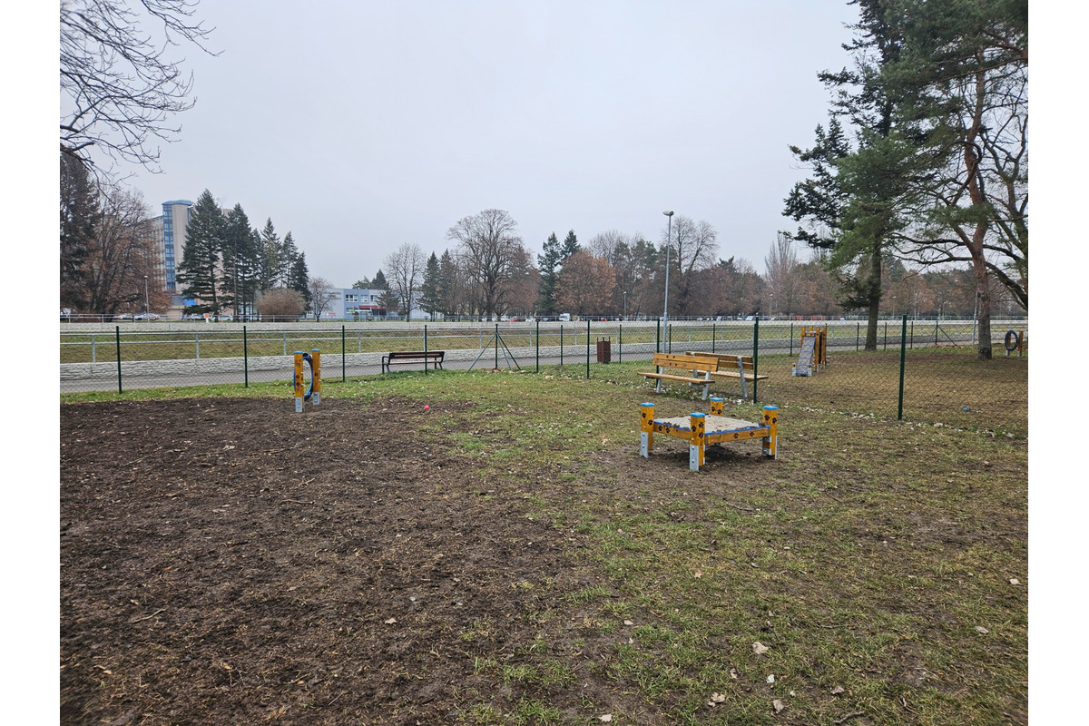 FOTO: V Nitre postavili nový výbeh pre psov. Je plný moderných prekážok a hracích prvkov, foto 7