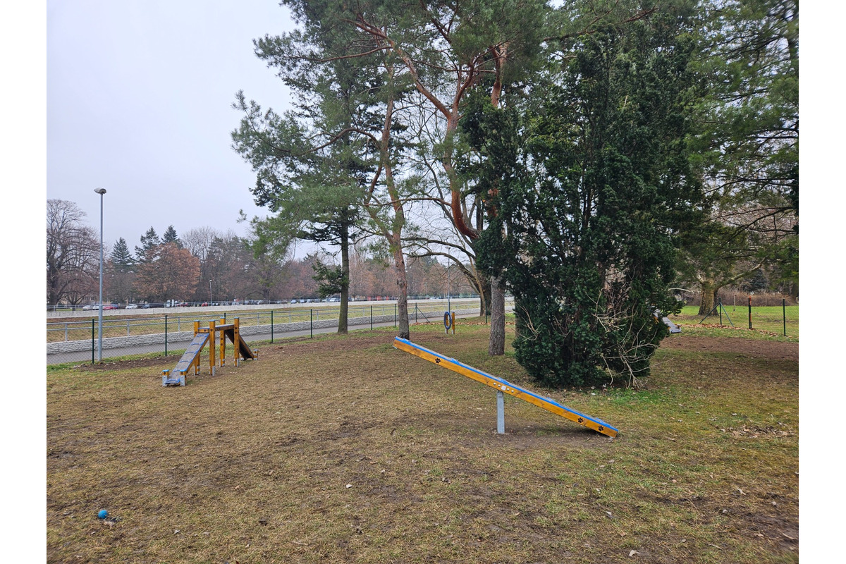 FOTO: V Nitre postavili nový výbeh pre psov. Je plný moderných prekážok a hracích prvkov, foto 11