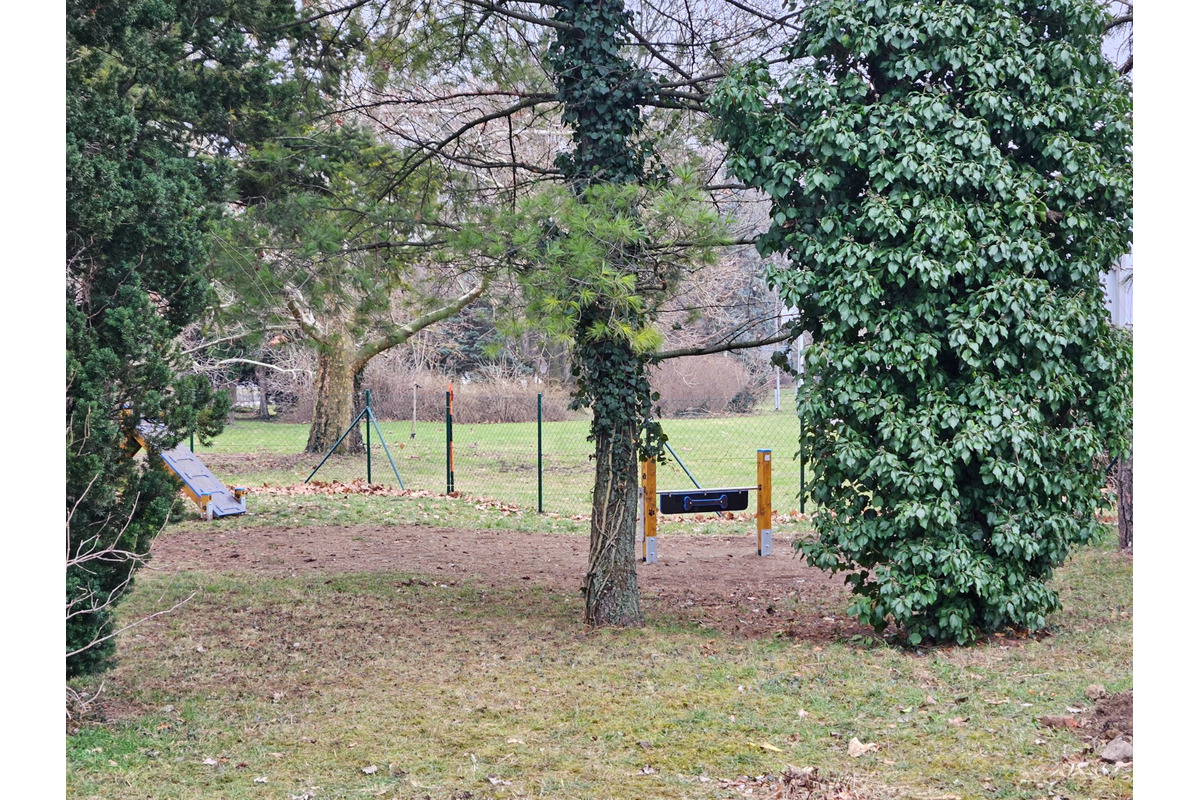 FOTO: V Nitre postavili nový výbeh pre psov. Je plný moderných prekážok a hracích prvkov, foto 9