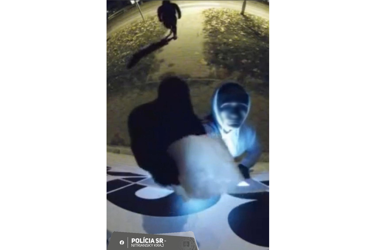 FOTO: Mladíci vykrádali v Nitre boxy na balíky, dlho sa však z lupu netešili , foto 2