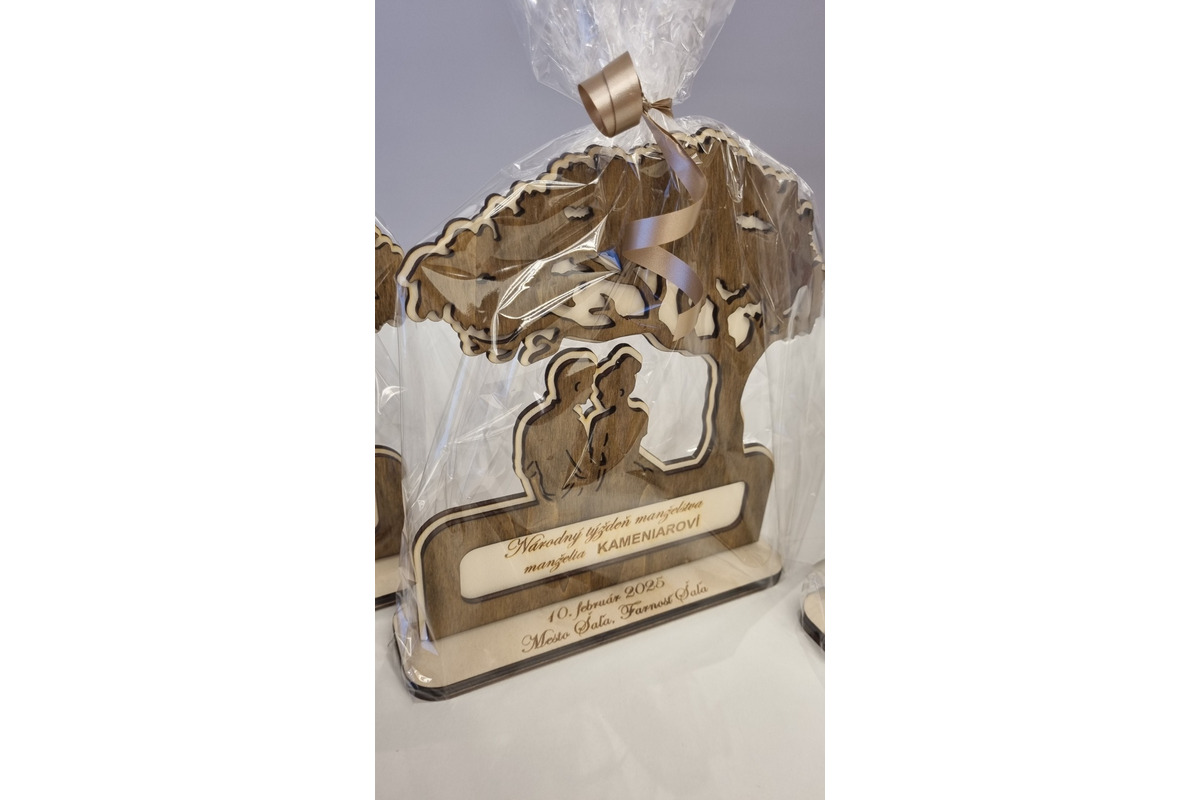 FOTO: Páry ocenené v Šali v rámci Národného týždňa manželstva, foto 17