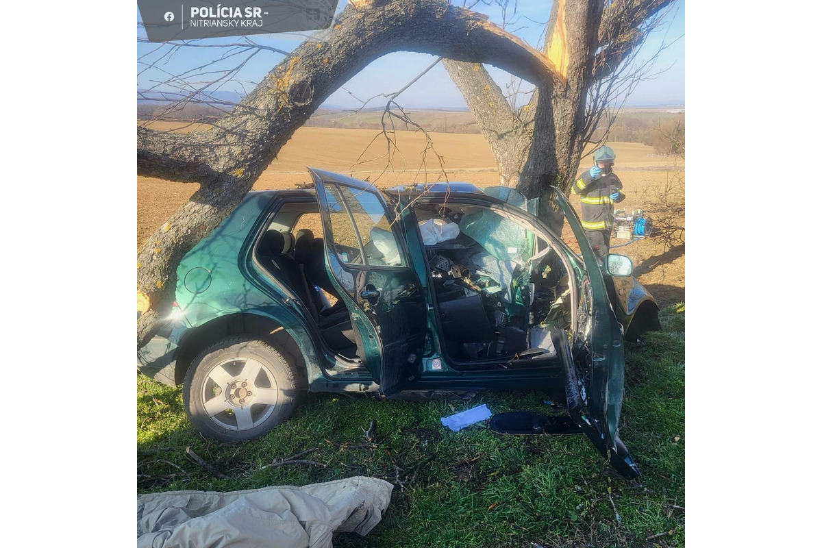 FOTO: Tragická nehoda v Topoľčianskom okrese (3. 3. 2025), foto 2