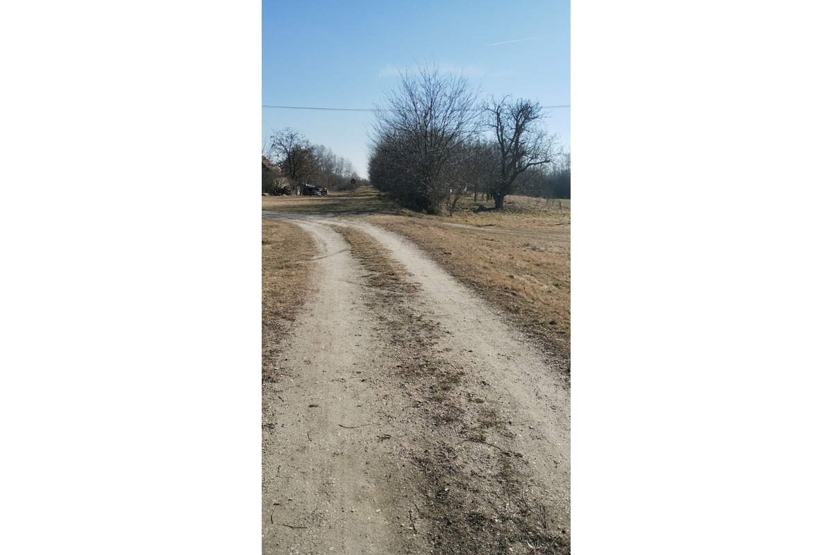 FOTO: Medzi Novými Zámkami a Nesvadmi budujú novú cyklotrasu, foto 3