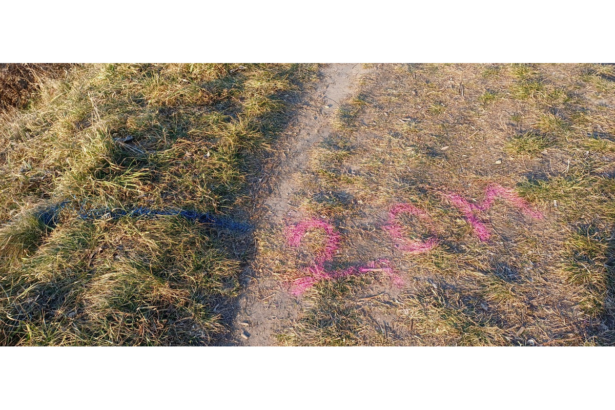 FOTO: Medzi Novými Zámkami a Nesvadmi budujú novú cyklotrasu, foto 6