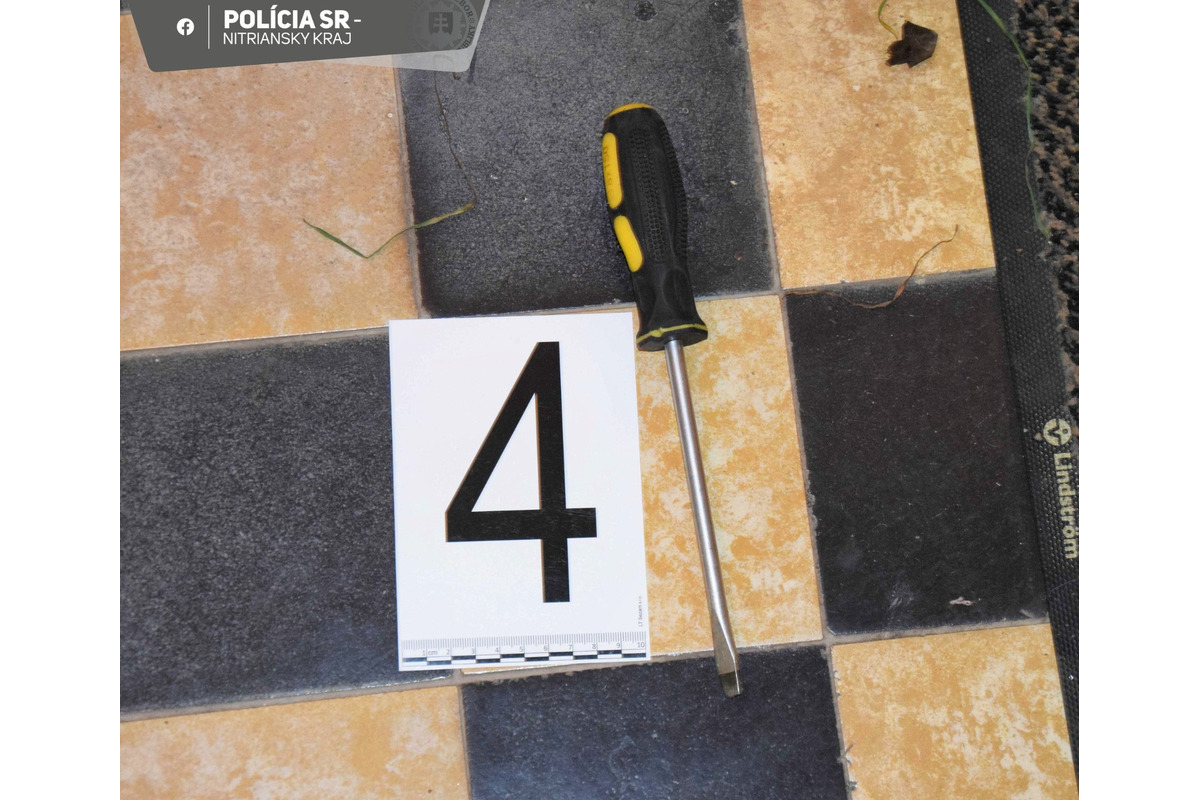 FOTO: Séria vlámačiek v školách v okresoch Levice a Nitra, foto 2