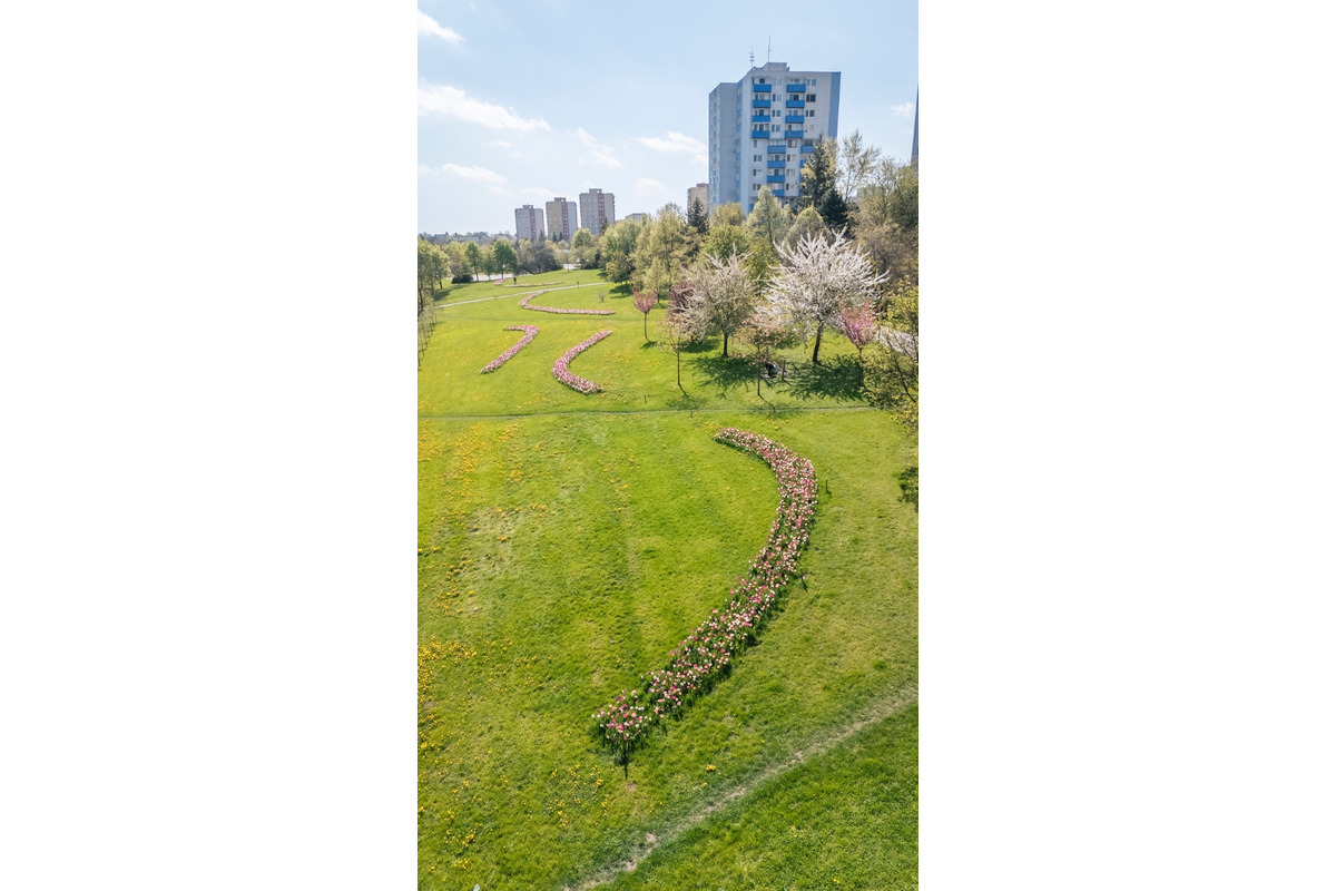 FOTO: Nitrianska Klokočina rozkvitla do krásy. Mnohí sa tam chodia fotiť, foto 3