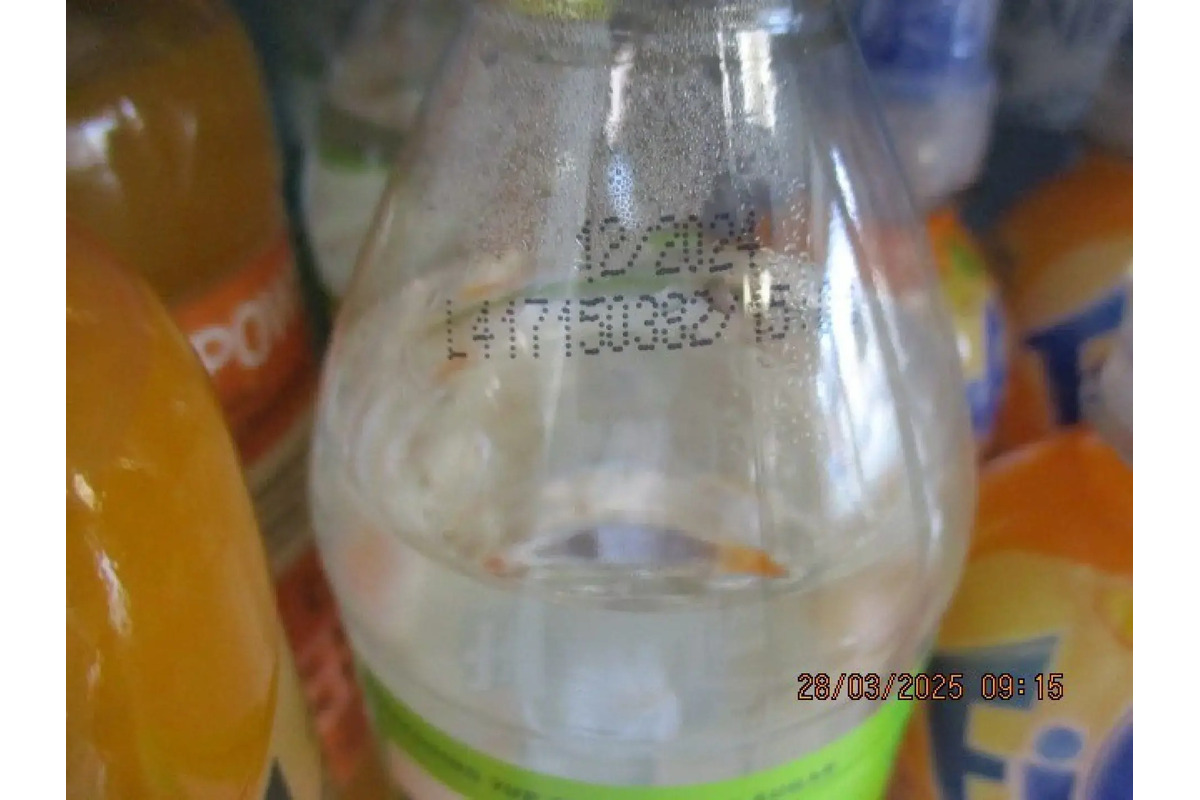 FOTO: Zábery z obchodov, ktoré nechcete vidieť. Pleseň, výkaly aj uhynuté hlodavce, foto 2