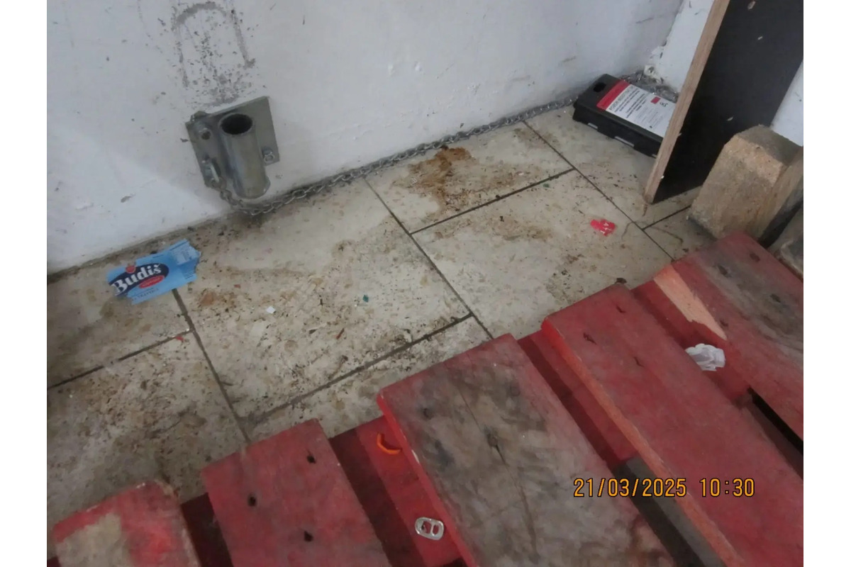 FOTO: Zábery z obchodov, ktoré nechcete vidieť. Pleseň, výkaly aj uhynuté hlodavce, foto 4