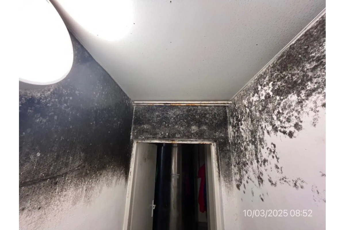 FOTO: Zábery z obchodov, ktoré nechcete vidieť. Pleseň, výkaly aj uhynuté hlodavce, foto 7