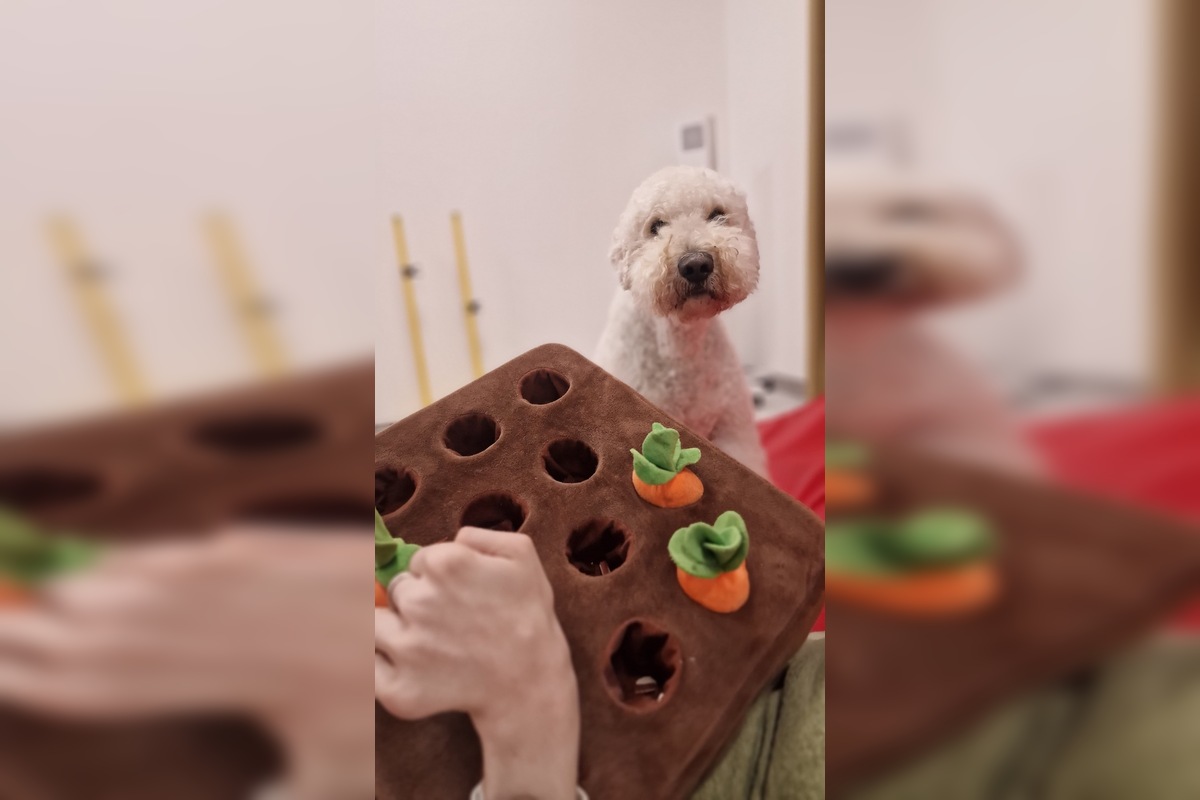 FOTO: Martinko z Veľkého Zálužia už podľa lekárov nemal žiť, rodina neustále bojuje o jeho život. Teraz potrebuje pomoc, foto 5