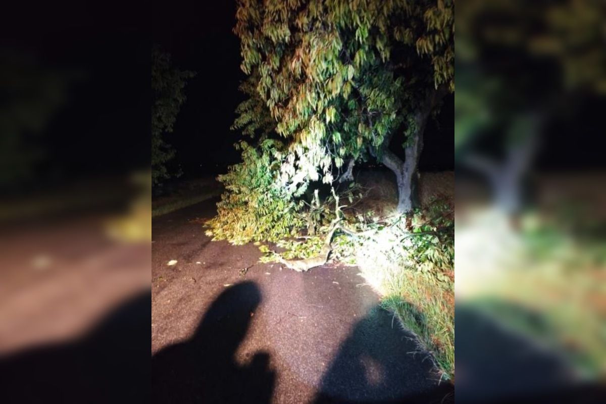 Foto: Búrky potrápili obyvateľov Nitrianskeho kraja, hasiči mali plné ruky práce, foto 5