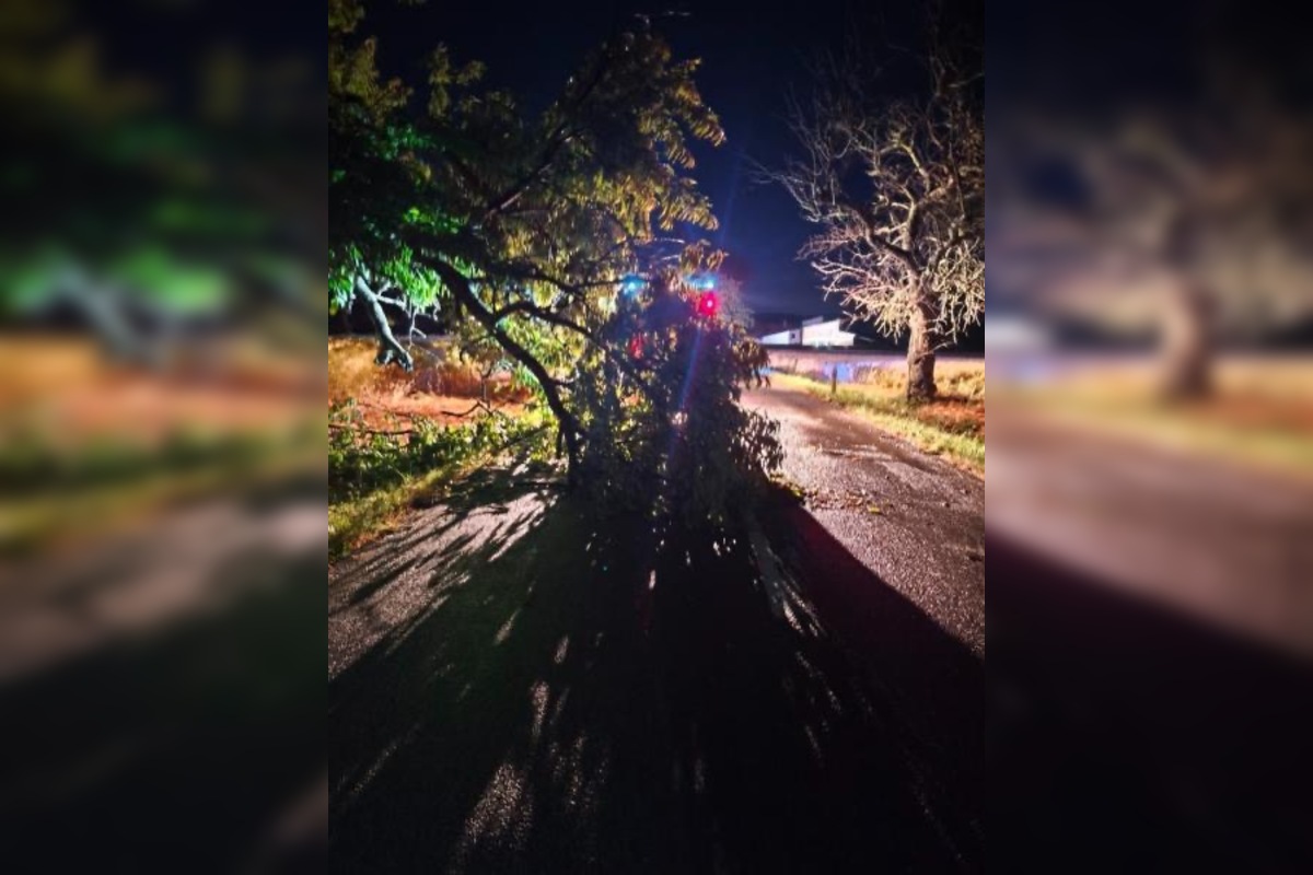 Foto: Búrky potrápili obyvateľov Nitrianskeho kraja, hasiči mali plné ruky práce, foto 6
