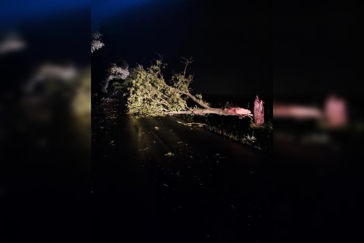 Foto: Búrky potrápili obyvateľov Nitrianskeho kraja, hasiči mali plné ruky práce, foto 7
