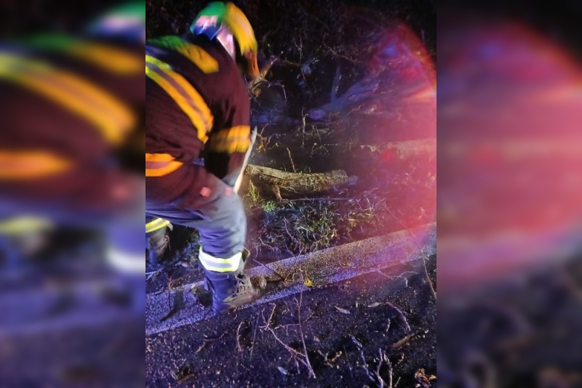 Foto: Búrky potrápili obyvateľov Nitrianskeho kraja, hasiči mali plné ruky práce, foto 9
