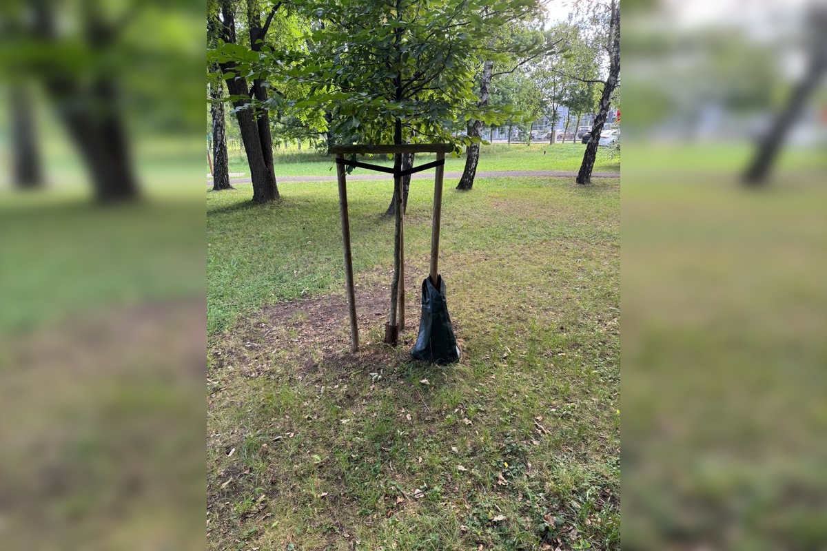 FOTO: Závlahové vaky v Nitre: Sú prázdne a nikto ich neplní? Rozpútala sa živá diskusia, obyvatelia volajú po riešení, foto 1