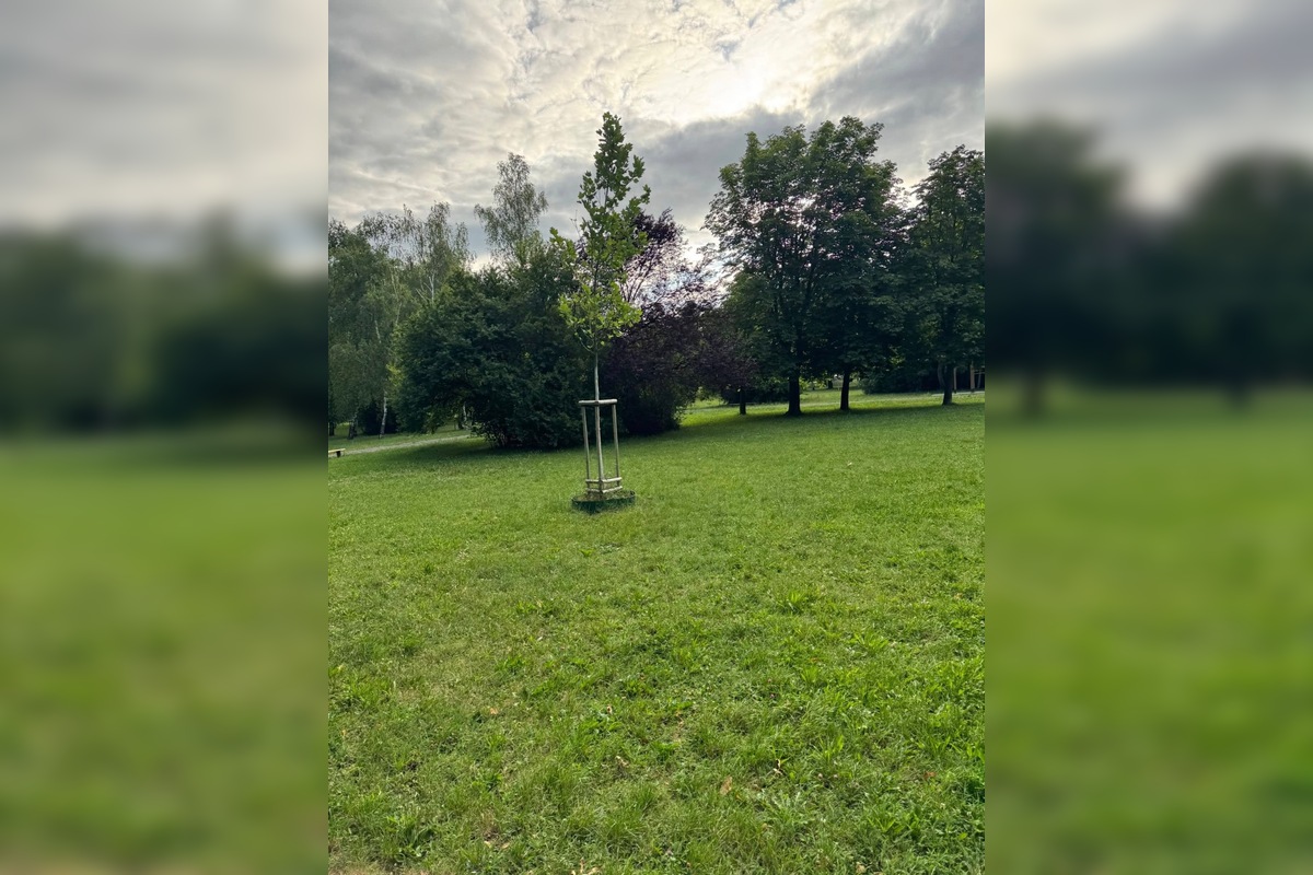 FOTO: Závlahové vaky v Nitre: Sú prázdne a nikto ich neplní? Rozpútala sa živá diskusia, obyvatelia volajú po riešení, foto 2