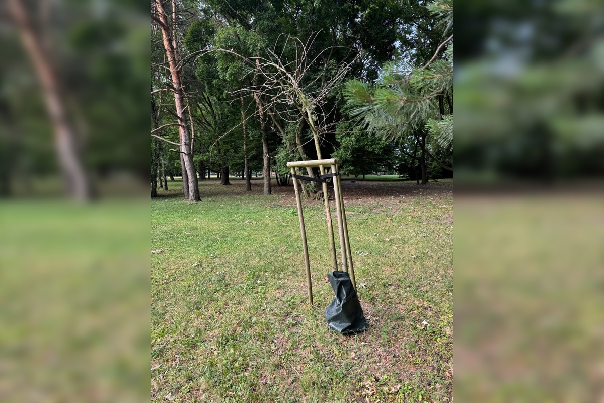 FOTO: Závlahové vaky v Nitre: Sú prázdne a nikto ich neplní? Rozpútala sa živá diskusia, obyvatelia volajú po riešení, foto 4