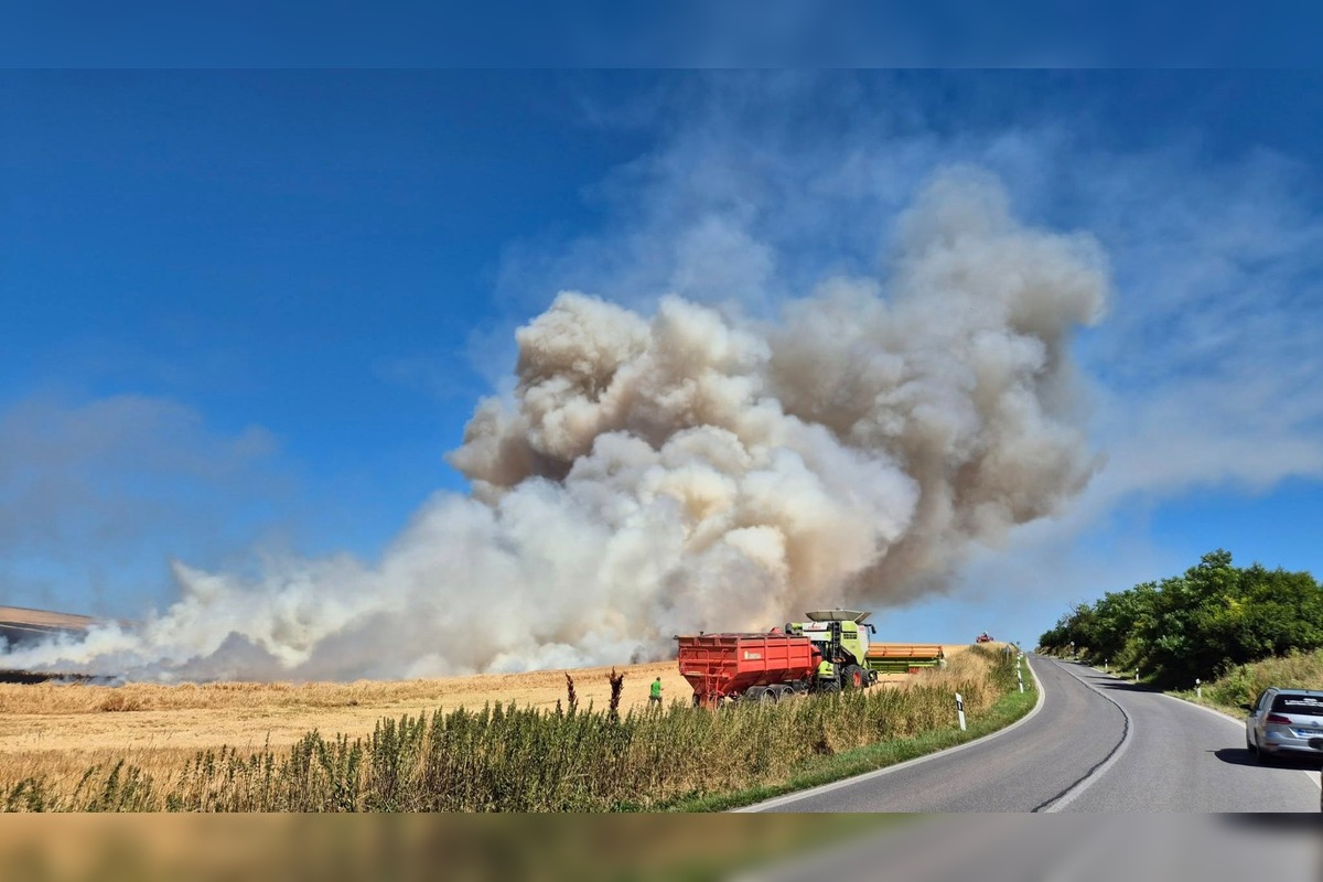 FOTO: V obci v okrese Nové Zámky vypukol rozsiahly požiar pola, foto 1