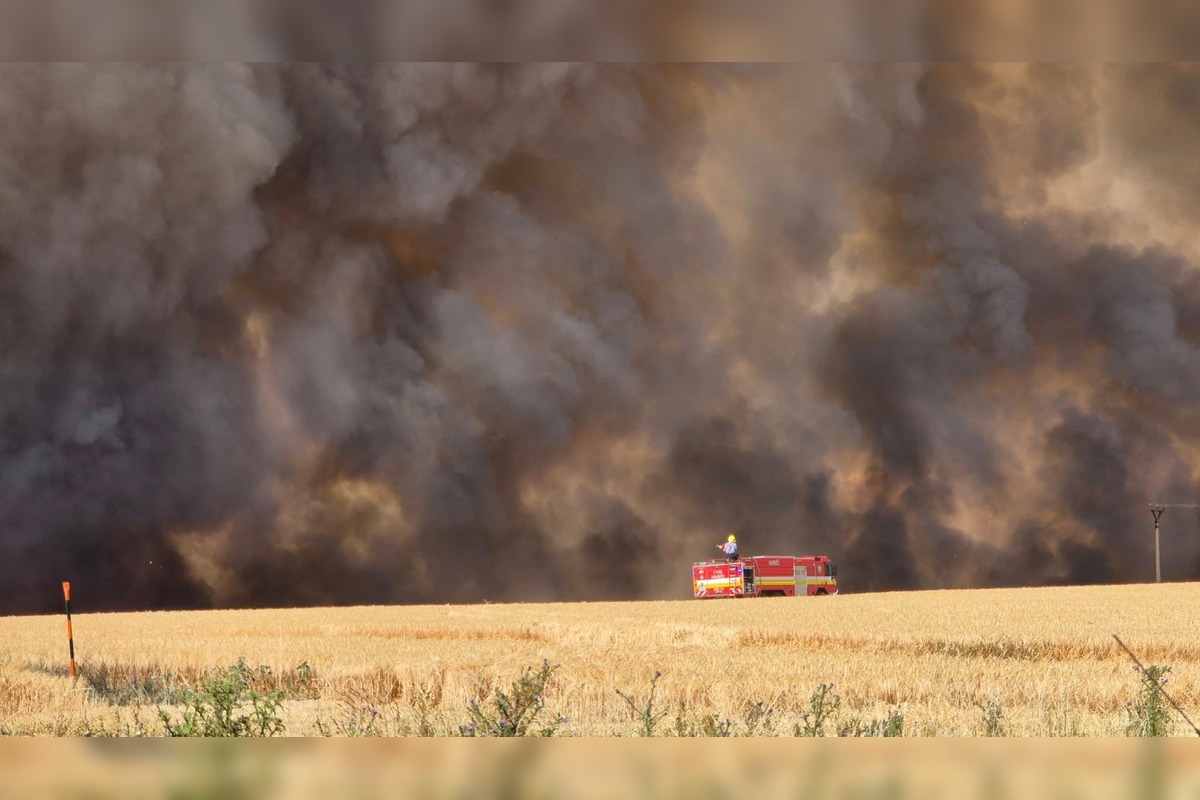 FOTO: V obci v okrese Nové Zámky vypukol rozsiahly požiar pola, foto 2